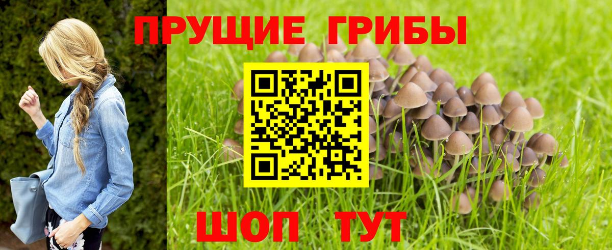 Галлюциногенные грибы мухоморы  Псилоцибиновые грибы мицелий  Вход с VPN  Комсомольск-на-Амуре 