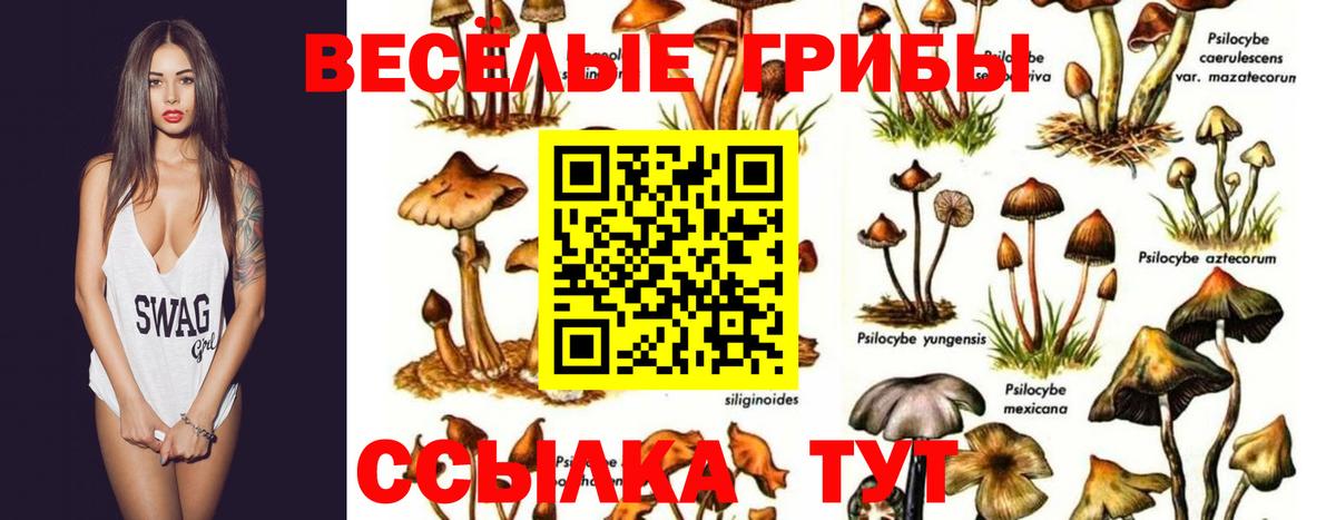 Псилоцибиновые грибы прущие грибы Комсомольск-на-Амуре
